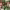 https://res.cloudinary.com/billionhands/image/upload/v1769419409/items/of2nuzmrh79s40nwswby.jpg-1cover