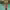 https://res.cloudinary.com/billionhands/image/upload/v1769419410/items/wgbkedz98errzewr00eh.jpg-1cover