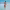 https://res.cloudinary.com/billionhands/image/upload/v1769419412/items/r9e1etdyn1cypivvqjsm.webp-3cover