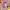 https://res.cloudinary.com/billionhands/image/upload/v1769419952/items/fxekjief0faadcwwwfwp.jpg-2cover
