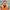 https://res.cloudinary.com/billionhands/image/upload/v1769423250/items/kpfoakwax541pprtkdw6.jpg-0cover