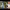 https://res.cloudinary.com/billionhands/image/upload/v1769423695/items/epgqjdimagxud7fmskrg.jpg-0cover