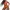 https://res.cloudinary.com/billionhands/image/upload/v1769424556/items/xejgz6wkn2pys8ksbyk3.webp-0cover