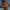 https://res.cloudinary.com/billionhands/image/upload/v1769424753/items/bjze2jrucnhpsji33j9z.webp-2cover