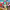 TORNEO 'COPA ROSQUILLA' DE FORTNITE X LOS SIMPSONS cover