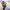 https://res.cloudinary.com/billionhands/image/upload/v1769540705/items/ytwyfr6pfqs4pqb8bxab.jpg-0cover