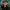 https://res.cloudinary.com/billionhands/image/upload/v1769540782/items/ag1op9wcvg6vxyhpoide.webp-2cover
