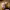 https://res.cloudinary.com/billionhands/image/upload/v1769540841/items/gktnkw44jdxk85ozo4ij.jpg-2cover