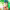 https://res.cloudinary.com/billionhands/image/upload/v1769541052/items/c7l0w5y4lwcxqm1sywi7.jpg-1cover