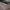 https://res.cloudinary.com/billionhands/image/upload/v1769547719/items/olvi2upxgvj4n3cxl8fv.jpg-3cover