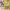 https://res.cloudinary.com/billionhands/image/upload/v1769597435/items/gzqldn76vzqgy4okv13h.jpg-1cover