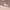 https://res.cloudinary.com/billionhands/image/upload/v1769602115/items/wos51hdcy9z8frbncuov.webp-3cover