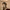 https://res.cloudinary.com/billionhands/image/upload/v1769671410/items/yxqwm6c8ccdtn6wnphwt.gif-0cover