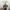 https://res.cloudinary.com/billionhands/image/upload/v1769671413/items/hdsiwizvhfsrsdlhdkhk.webp-3cover