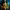 https://res.cloudinary.com/billionhands/image/upload/v1769671414/items/pitwcvxspaoeot7rvxlj.jpg-3cover