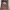 https://res.cloudinary.com/billionhands/image/upload/v1769671418/items/onaqrv1edzagxq5cthr4.jpg-0cover