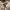 https://res.cloudinary.com/billionhands/image/upload/v1769757852/items/ntdty2d54shguwknlkzo.jpg-0cover