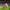 https://res.cloudinary.com/billionhands/image/upload/v1769757879/items/argunete3bij4cxdfrug.webp-0cover