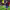 https://res.cloudinary.com/billionhands/image/upload/v1769757880/items/nghbtbsyhnndc4jsv3ba.webp-3cover