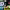 https://res.cloudinary.com/billionhands/image/upload/v1769757885/items/h0c2nqmj5q6xzgafhr5x.jpg-0cover