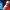 https://res.cloudinary.com/billionhands/image/upload/v1769757887/items/qq4nckyyw7gnlpmcsl6b.jpg-1cover