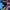 https://res.cloudinary.com/billionhands/image/upload/v1769757898/items/m4nm6l7cfw7d9ciwtea3.jpg-1cover