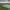 https://res.cloudinary.com/billionhands/image/upload/v1769757905/items/fzglgrmu2pydopi3oiuo.webp-2cover