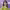 https://res.cloudinary.com/billionhands/image/upload/v1769757912/items/c76gvyidzjlnu8pmwffg.webp-0cover