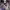 https://res.cloudinary.com/billionhands/image/upload/v1769757913/items/kz6s4pqxweku8jd1ogeq.jpg-2cover