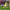 Gol de Gerard Moreno vs. Manchester United (Final UEFA Europa League 2021) cover