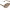 https://res.cloudinary.com/billionhands/image/upload/v1769757929/items/lqtax5cu8oskbbcesgyr.webp-3cover