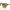 https://res.cloudinary.com/billionhands/image/upload/v1769757932/items/u5263yahz5b0fc4nr2kg.webp-3cover