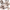 https://res.cloudinary.com/billionhands/image/upload/v1769773092/items/y3nysrxzofscwy7m5t4p.png-2cover