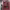 https://res.cloudinary.com/billionhands/image/upload/v1769773159/items/jkzveevh8lwxuk2kj2qh.jpg-1cover