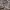 https://res.cloudinary.com/billionhands/image/upload/v1769773165/items/ddepumkgqhersknlrfar.jpg-3cover