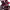https://res.cloudinary.com/billionhands/image/upload/v1769795851/items/qffnnbfuj9vjgp1tqgon.webp-2cover