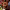 https://res.cloudinary.com/billionhands/image/upload/v1769796095/items/pqj7nmtgmvthjccil94v.jpg-0cover