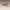 https://res.cloudinary.com/billionhands/image/upload/v1769798185/items/d770mprsggo52ebcj2lz.jpg-0cover