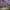 https://res.cloudinary.com/billionhands/image/upload/v1769827827/items/ojn7dp4jhe9jzgneiftx.jpg-0cover
