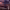 https://res.cloudinary.com/billionhands/image/upload/v1769838931/items/p5m7cn0ywe4xbtgqsgdg.png-2cover