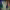 https://res.cloudinary.com/billionhands/image/upload/v1769838932/items/ilcasnkcyllzdtgvuvpu.webp-1cover