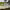 https://res.cloudinary.com/billionhands/image/upload/v1769844194/items/y00mt8ymwuhuvdee2ace.jpg-1cover