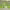 https://res.cloudinary.com/billionhands/image/upload/v1769844237/items/enyy5exr9u1yjbblo8nh.webp-2cover