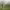 https://res.cloudinary.com/billionhands/image/upload/v1769844237/items/jjgd8mpvzrsawyh4v02n.jpg-1cover