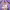 https://res.cloudinary.com/billionhands/image/upload/v1769844239/items/k2qf27ynbsikjumfckam.jpg-0cover