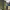 https://res.cloudinary.com/billionhands/image/upload/v1769850335/items/pbxci13r3irdpexrnacs.jpg-0cover