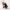 https://res.cloudinary.com/billionhands/image/upload/v1769930626/items/bdccjjhmr4eja9zoal54.jpg-1cover