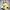 https://res.cloudinary.com/billionhands/image/upload/v1769930659/items/d1emnl0ud3fw9e4tp4c1.jpg-0cover