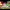https://res.cloudinary.com/billionhands/image/upload/v1769939097/items/ex4tg8bi3hrtjtoxoofa.jpg-0cover