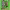 https://res.cloudinary.com/billionhands/image/upload/v1770017258/items/dto4gc2o8wuv693gytsq.jpg-1cover